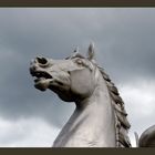 flying horses in Ireland....