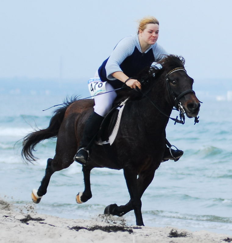 flying horses landing on the beach