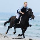 flying horses landing on the beach