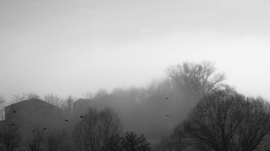 flying in the fog