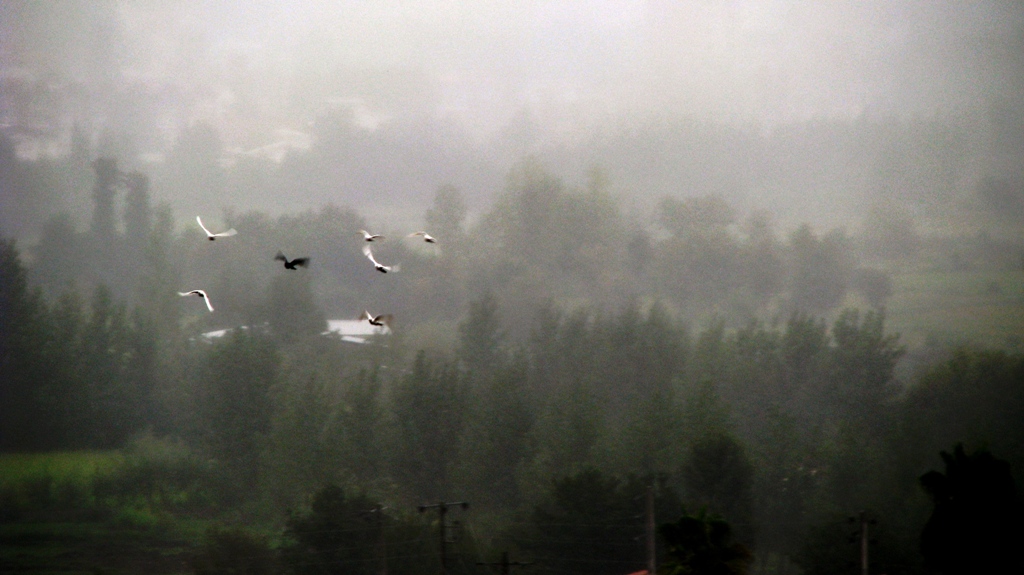 Flying in the rain