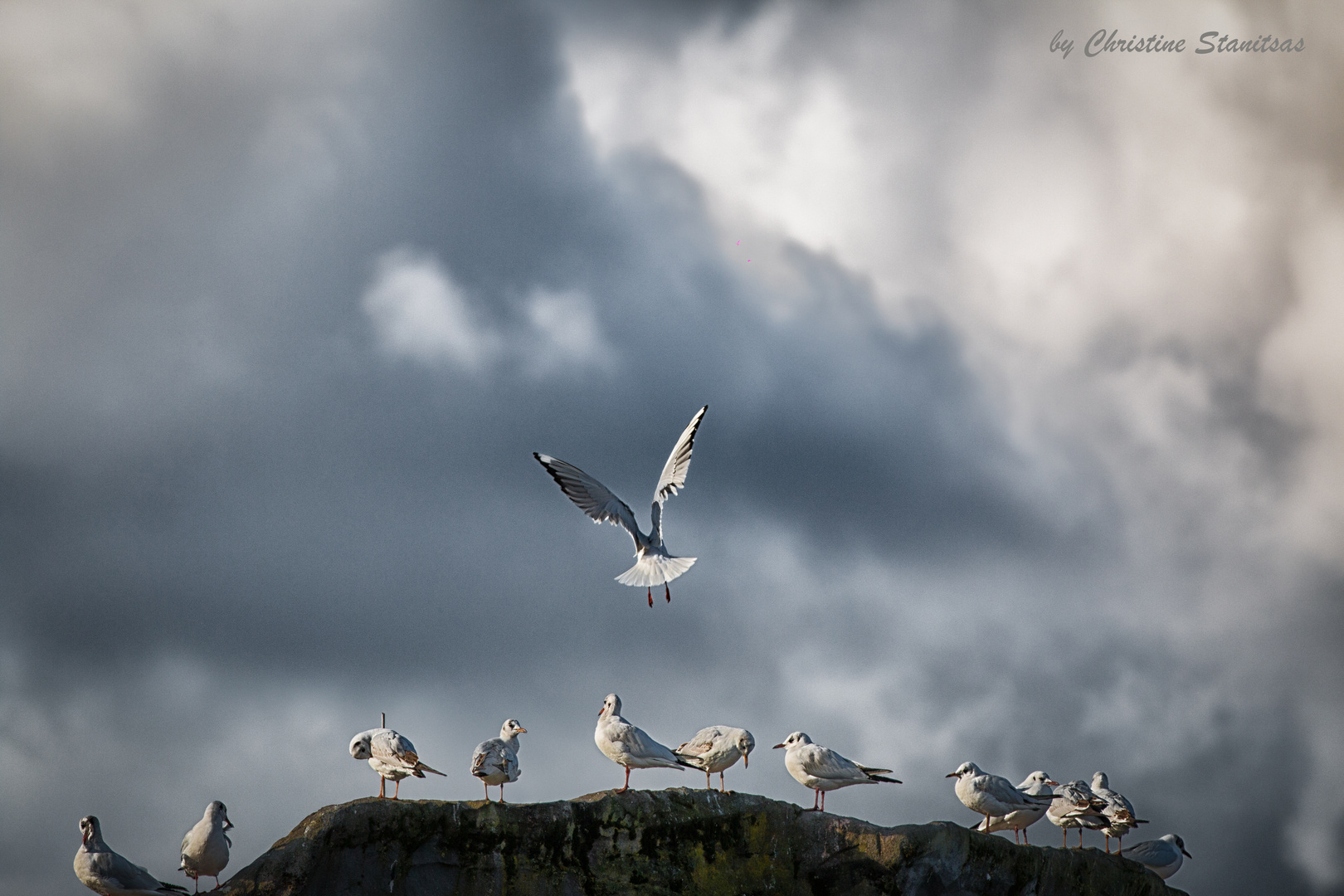 Flying into stormy sky