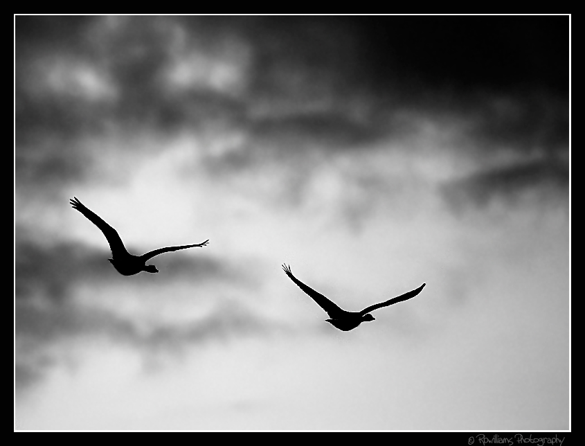 Flying Into the Storm