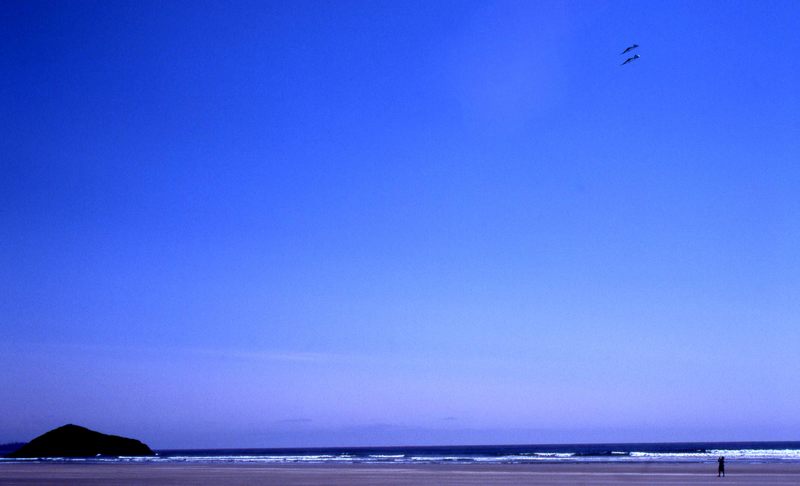 Flying Kites in Tofino