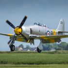 Flying Legends #01