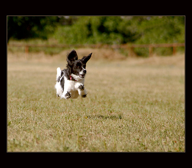 Flying Meggie :o)