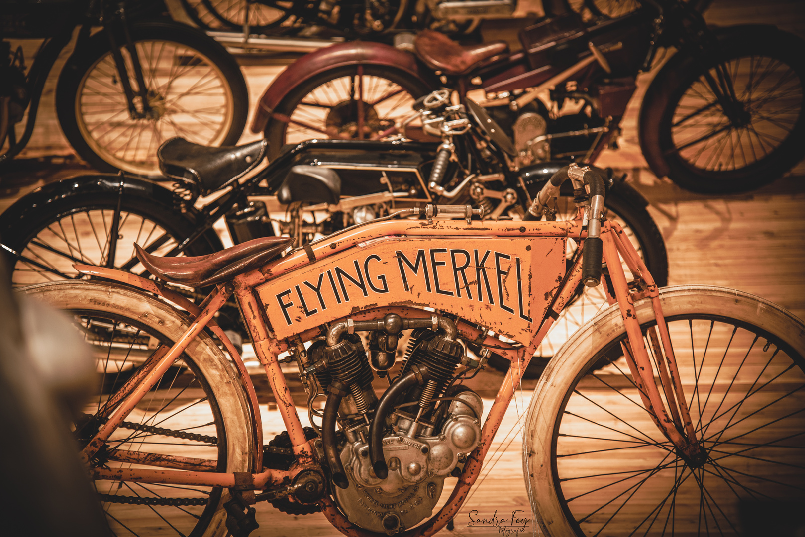 Flying Merkel 