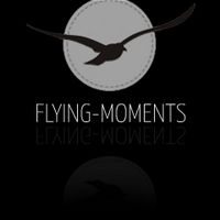 Flying-Moments