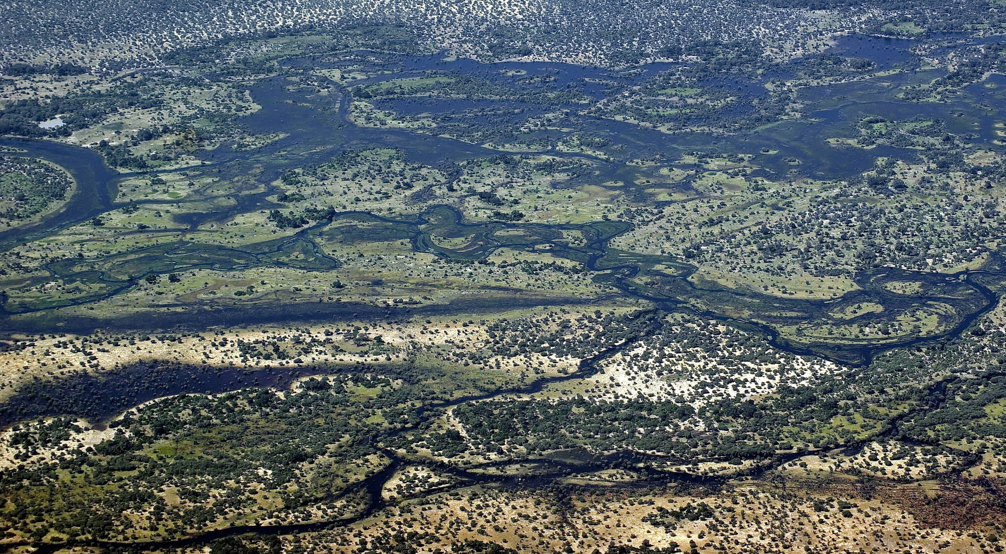 Flying Okavango