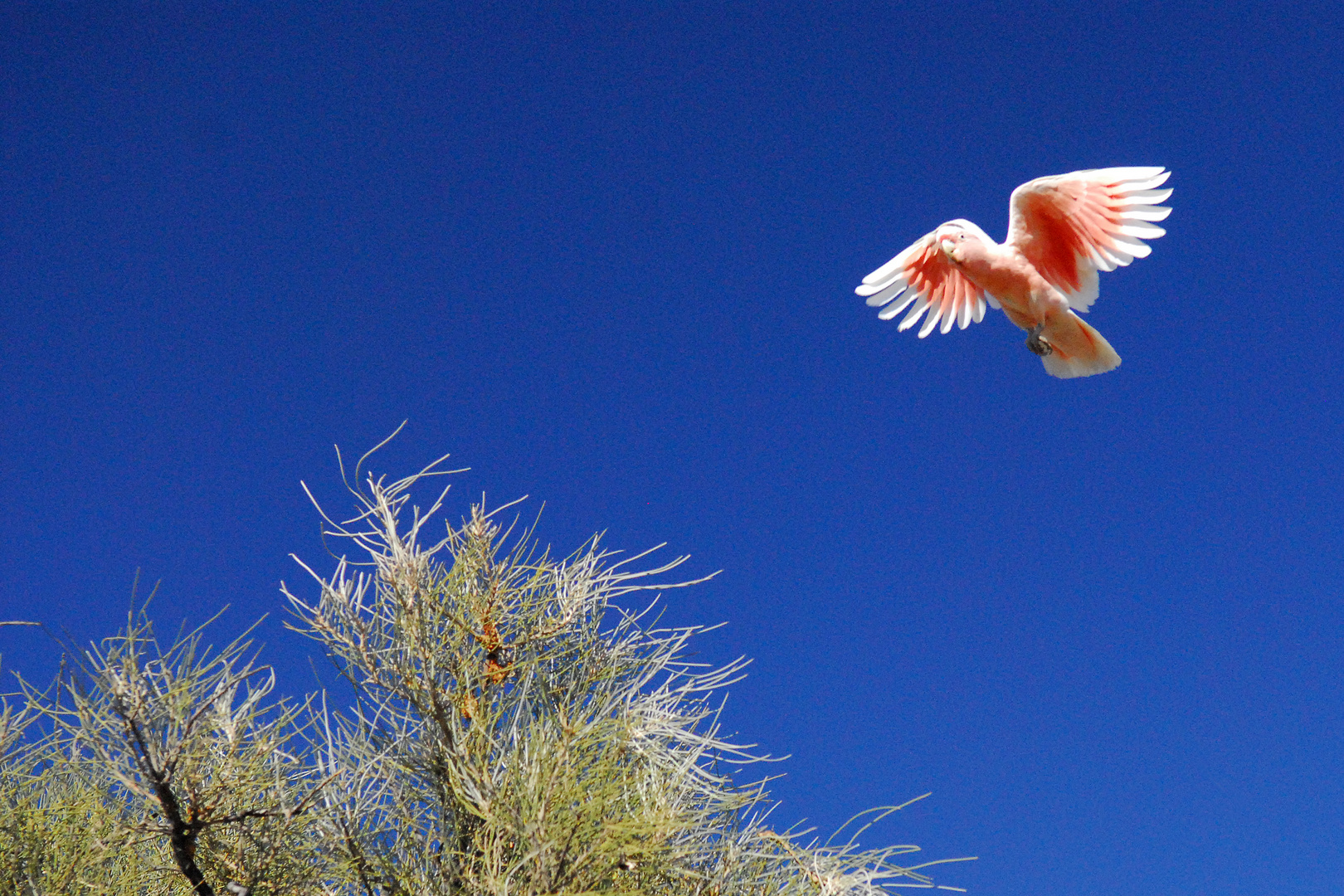 flying over