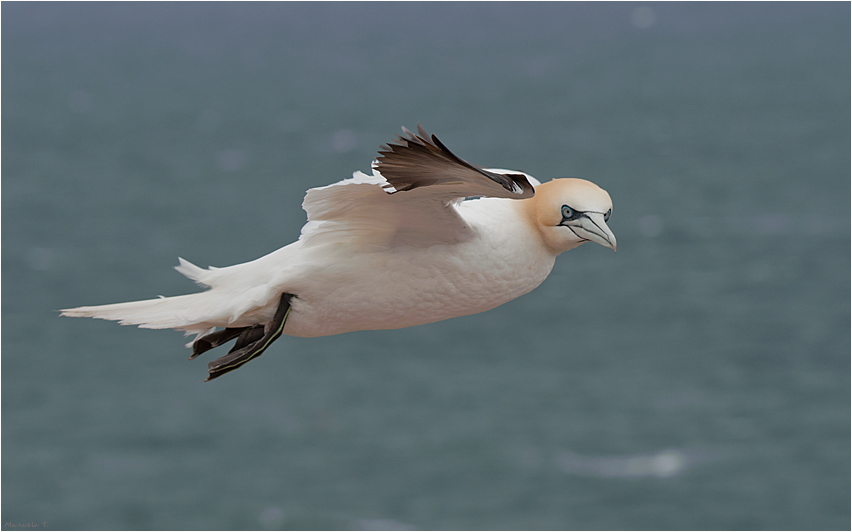 Flying past