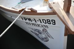 flying pelican