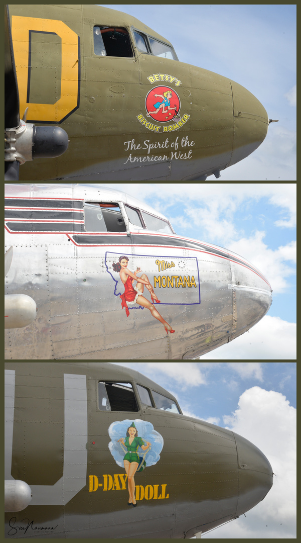 Flying Pin-Up Girls