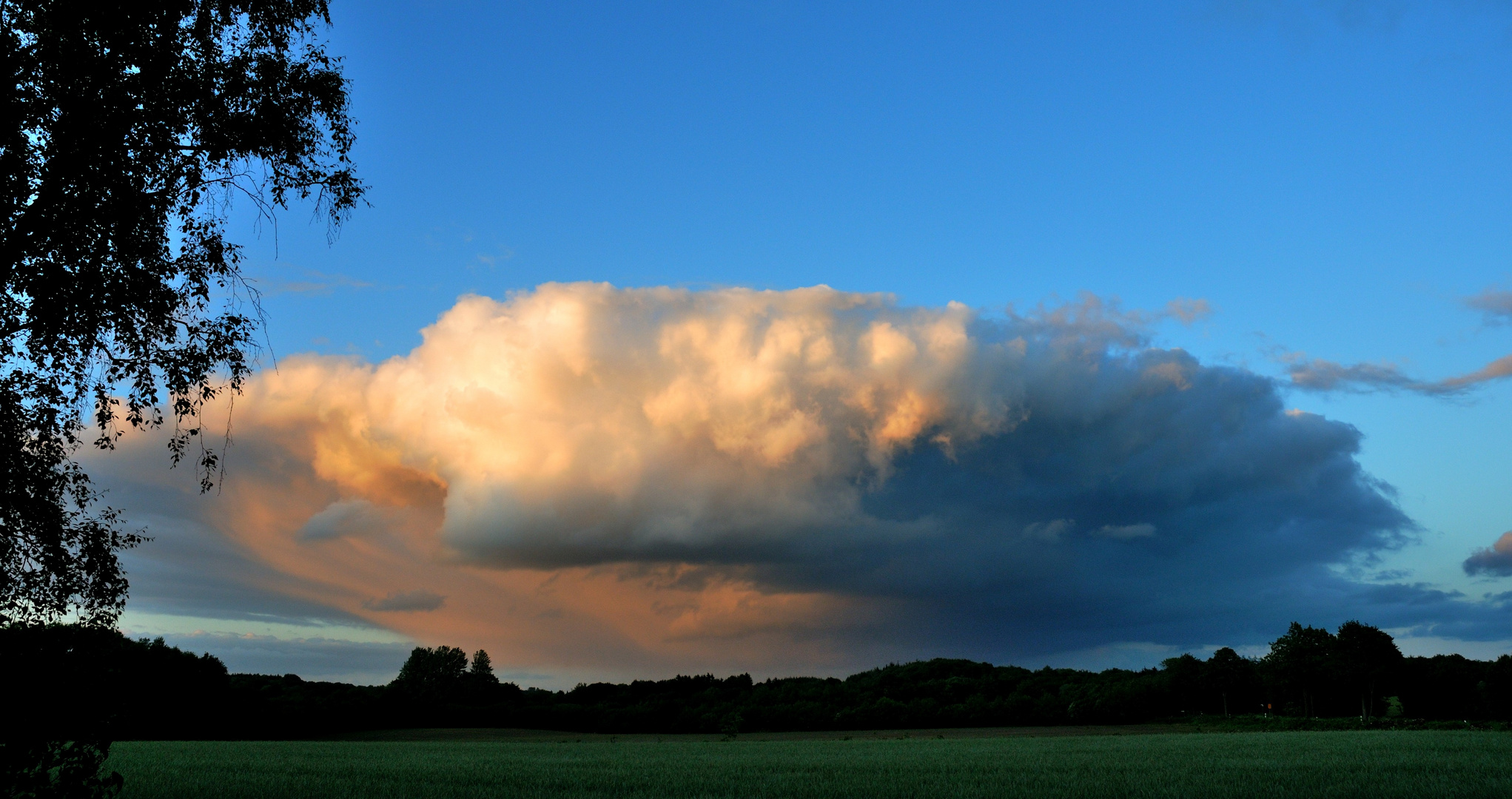 "flying saucer"