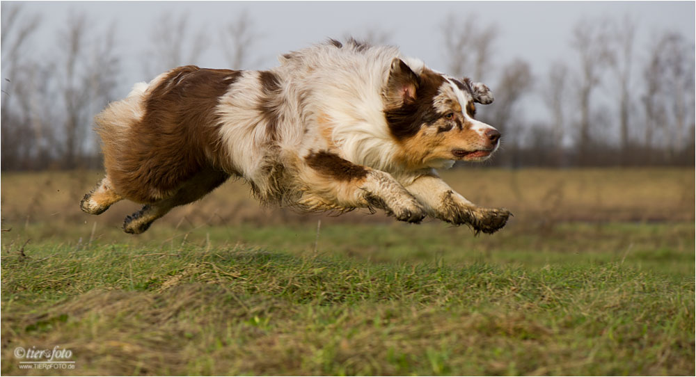 Flying Schmutzfuß :-)