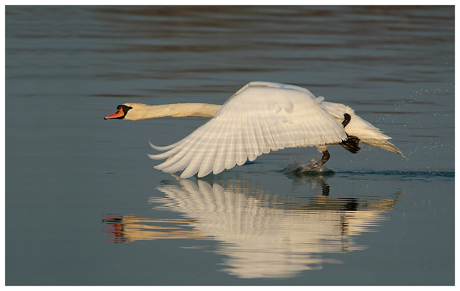 Flying start at evening