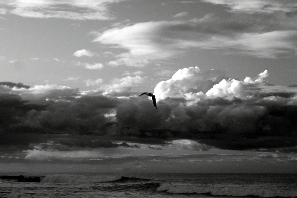 flying through painted clouds