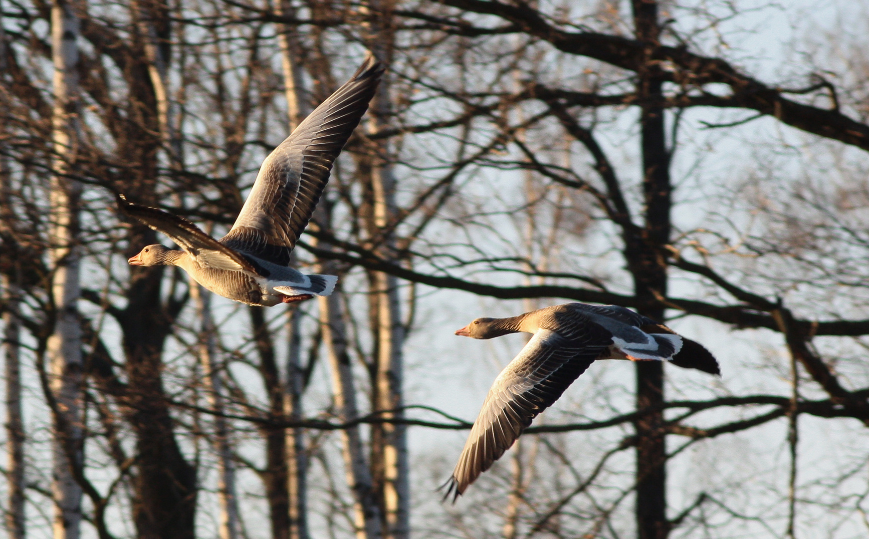 Flying through the air