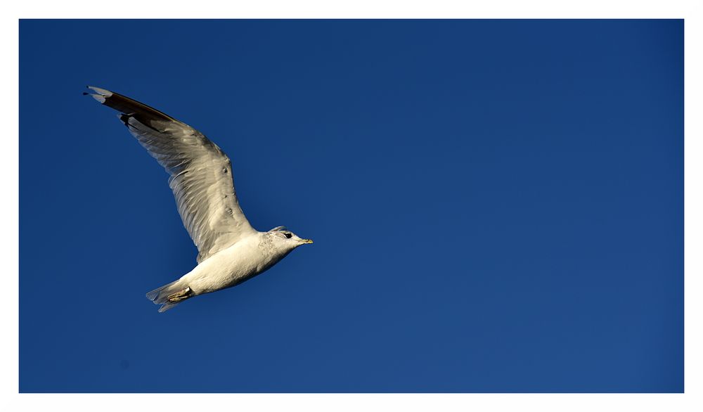 Flying through the blue