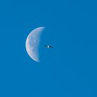 flying to the Moon