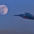 flying to the moon