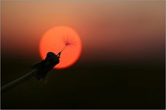 Flying to the sun...