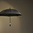 Flying Umbrella (I)