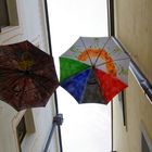 Flying Umbrellas