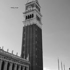 flying venice