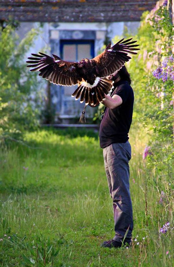 Flying with the birds