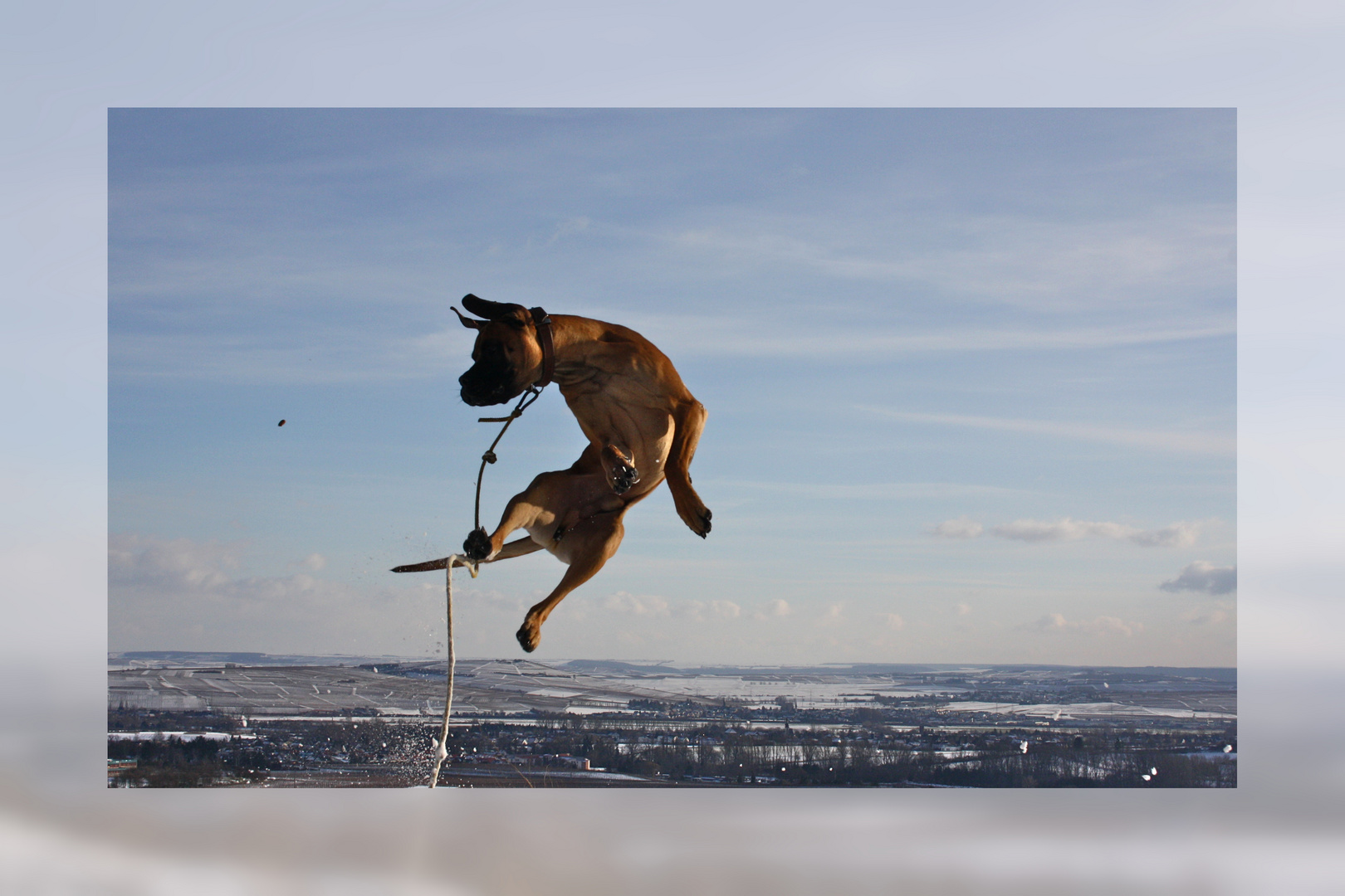 Flying Woody *danke an MountMcClure für den Vorschlag*