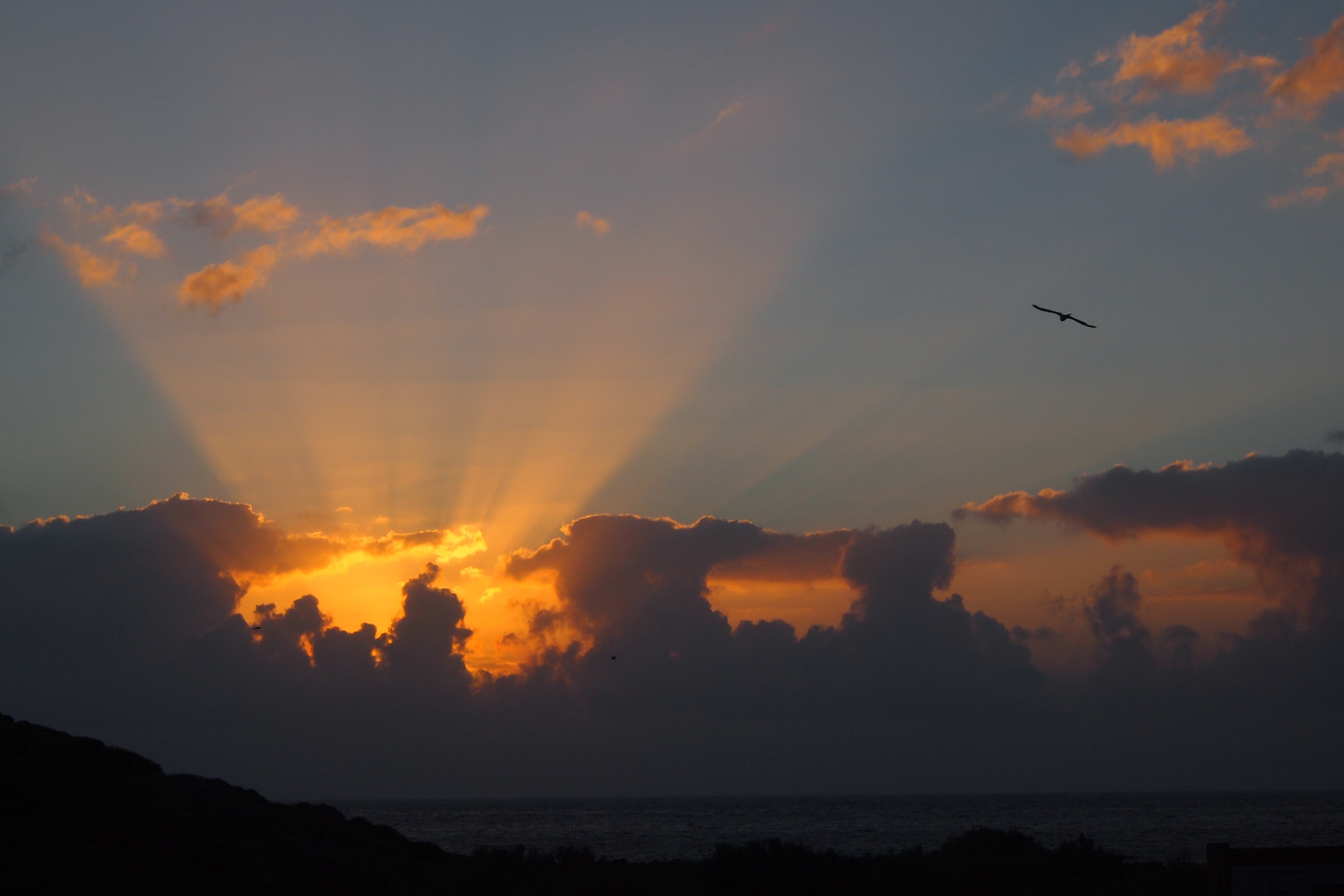 Flyin´to another world  (La Gomera)