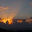 Flyin´to another world  (La Gomera)