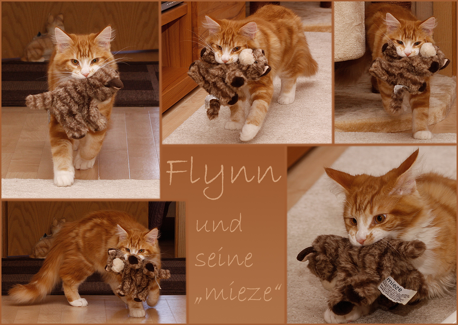 Flynn und "Mieze":o)))