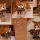 Flynn und "Mieze":o)))