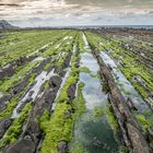 Flysch Calcáreo de Sakoneta. Guipuzcoa