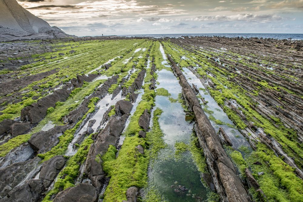 Flysch Calcáreo de Sakoneta. Guipuzcoa