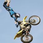 FMX 2