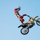 fmx in weltklasse...