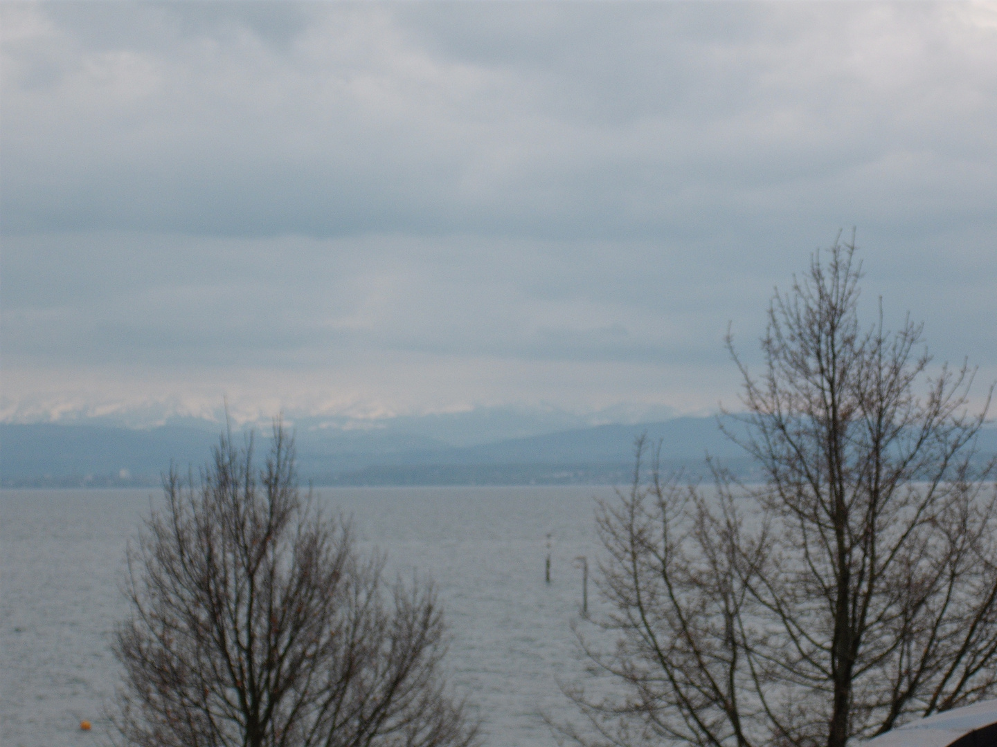 FN Bodensee am frühen Morgen