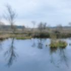 Fockbeker Moor im Pastelllook