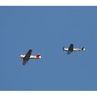 Focke Wulf 190 und Mustang in Formation über meinem Garten