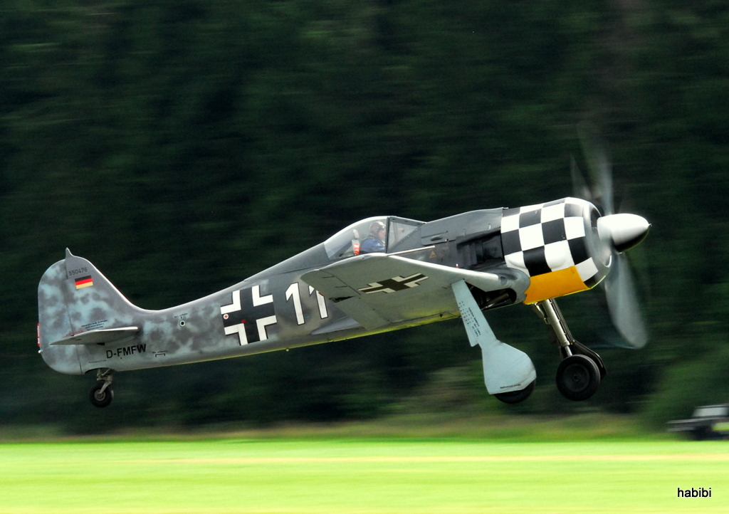 Focke-Wulf Fw-190 A8/N D-FMFW