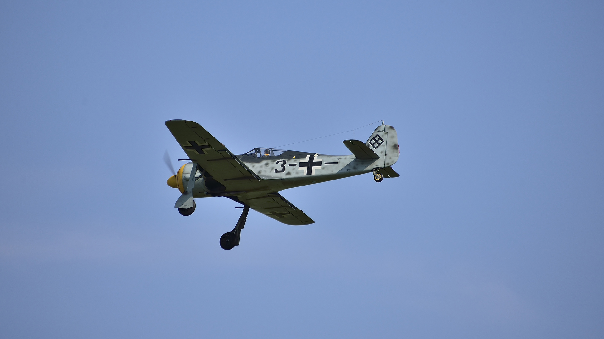 Focke Wulf FW190-A8 -Modellflugzeug-