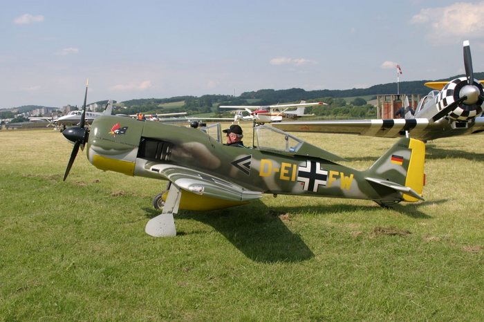 Focke Wulf im Masstab 1:2