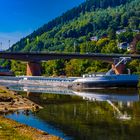 Focus auf dem Neckar 