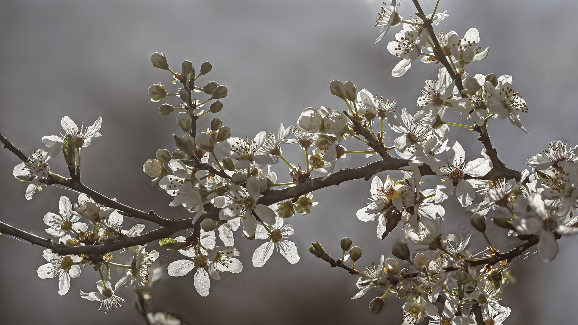 FOCUS BRACKETING ist kein Hexenwerk