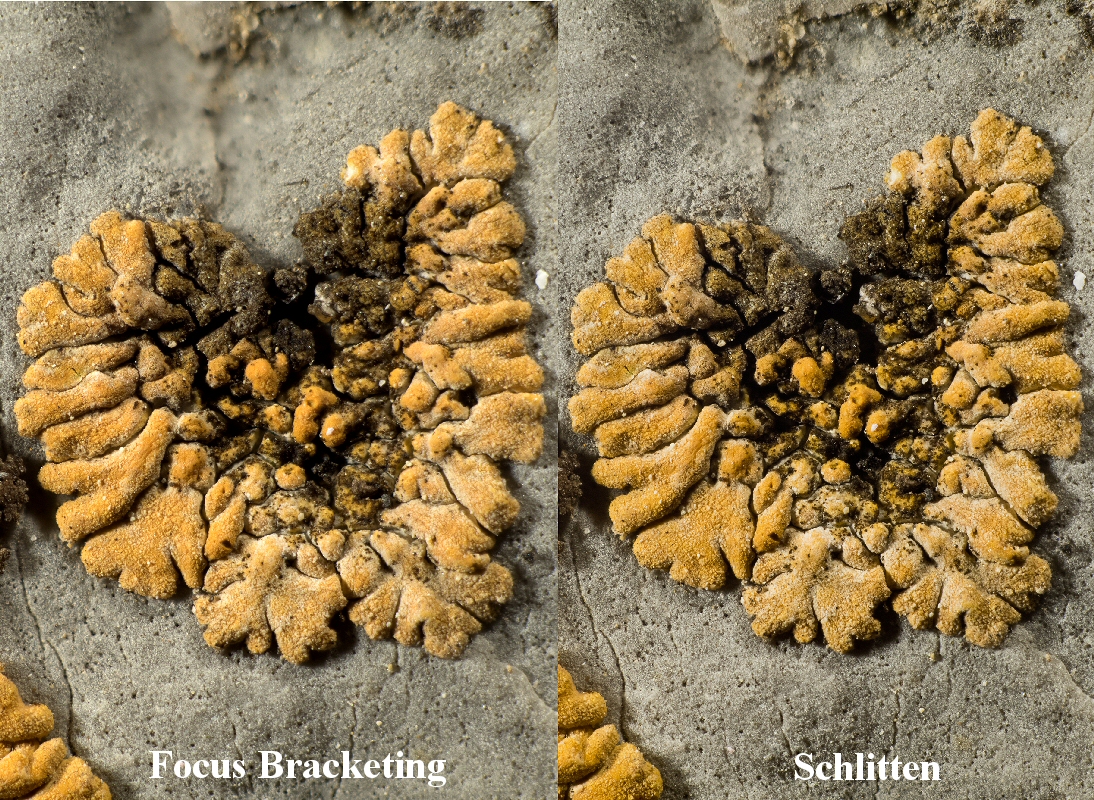 Focus Bracketing vs. Stacking mit Schlitten