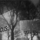 Focus : The Book