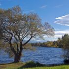 Föhn am See